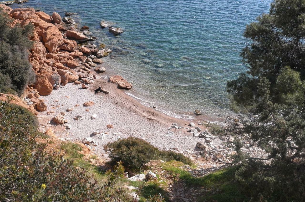 Starapartment Athens-Varkiza Top 2 Eksteriør billede